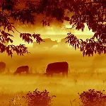 Garni & Oma's Heuhotel 'pension Zur Galerie'