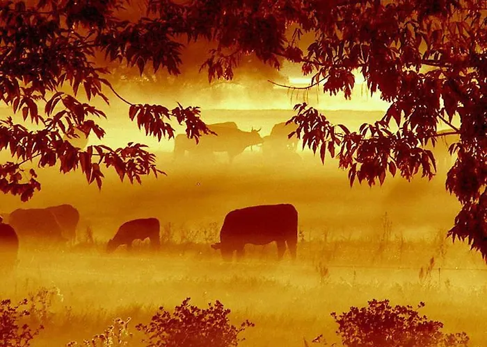 Garni & Oma's Heuhotel 'pension Zur Galerie'