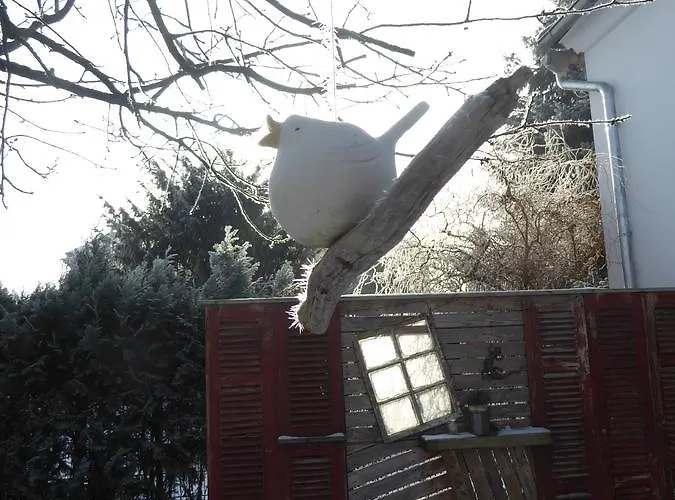 Garni & Oma's Heuhotel 'pension Zur Galerie' Pensjonat